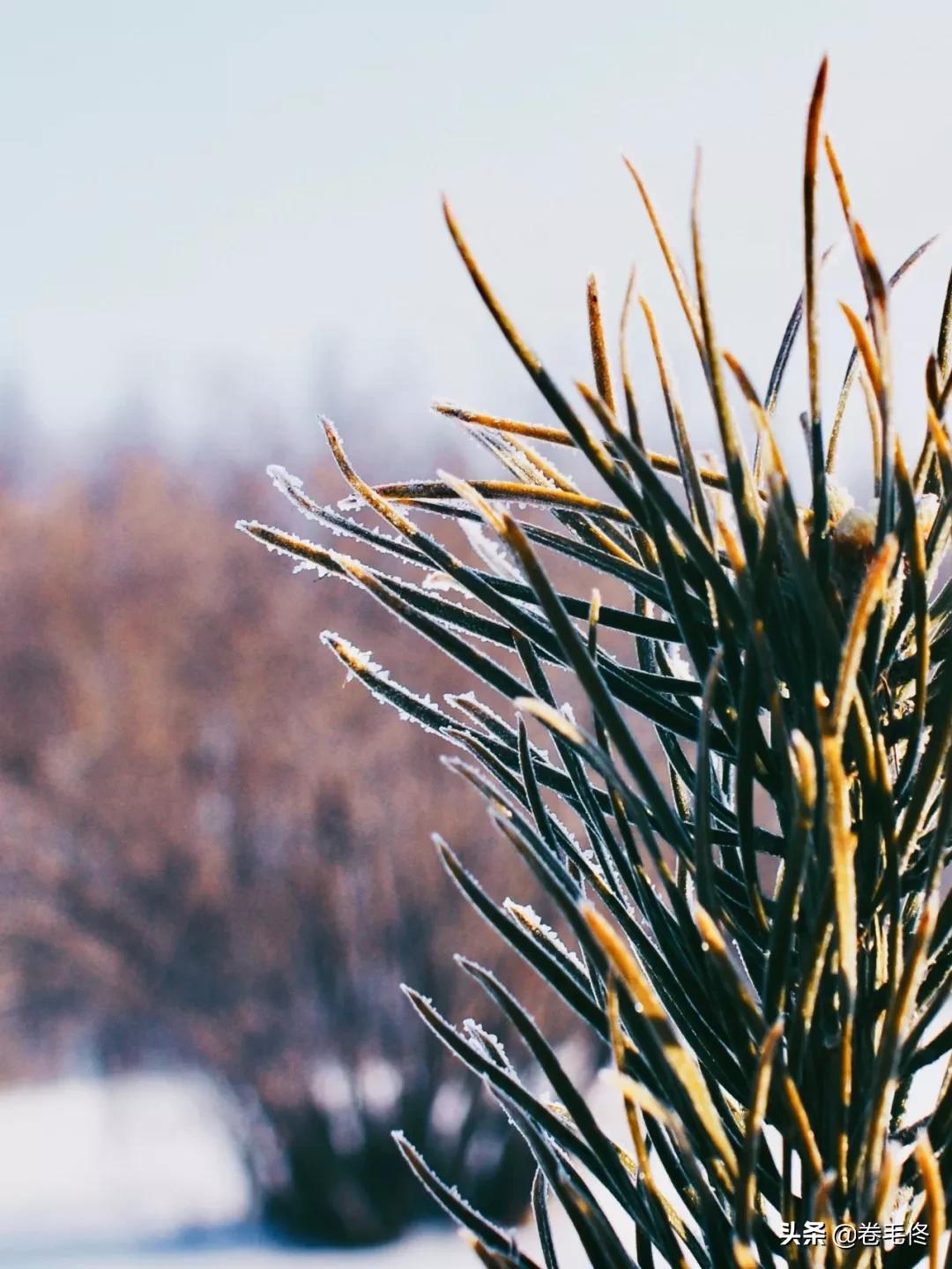 如何用手机拍下雪的照片,苹果手机如何拍出唯美的画面