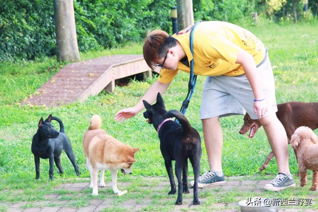 livinwild,livinwild澶滃鐚伯鍜嬫牱