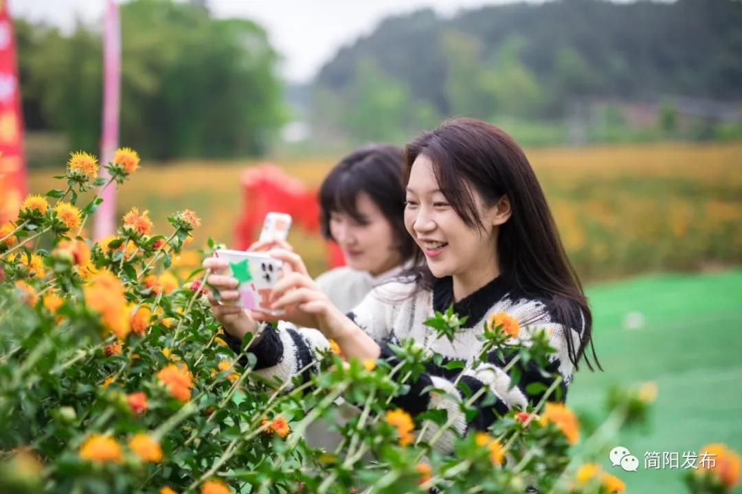 振兴川红花过上红火日子