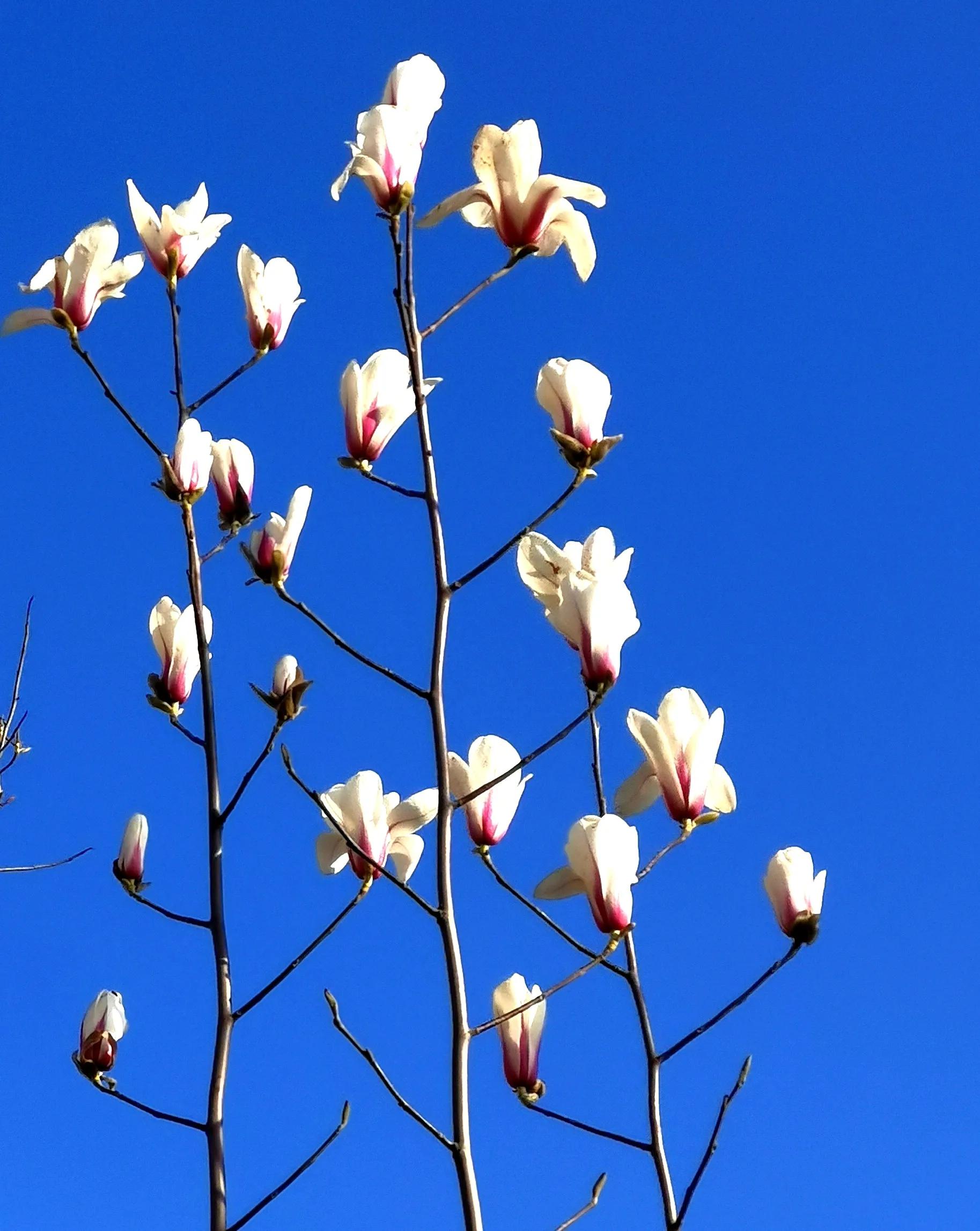 *访上**不当也会违法的（详解）