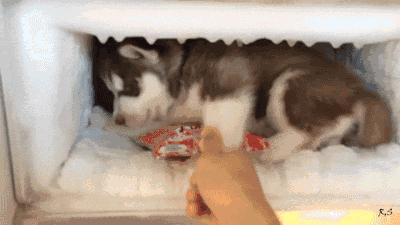 游泳池是夏季避暑的好地方,夏天去游泳馆避暑