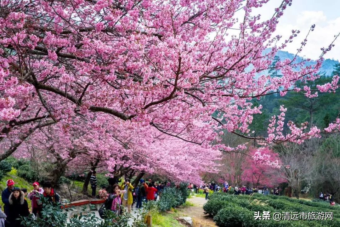 寒假亲子游推荐4-5天游,暑假亲子游玩地点推荐3天2夜