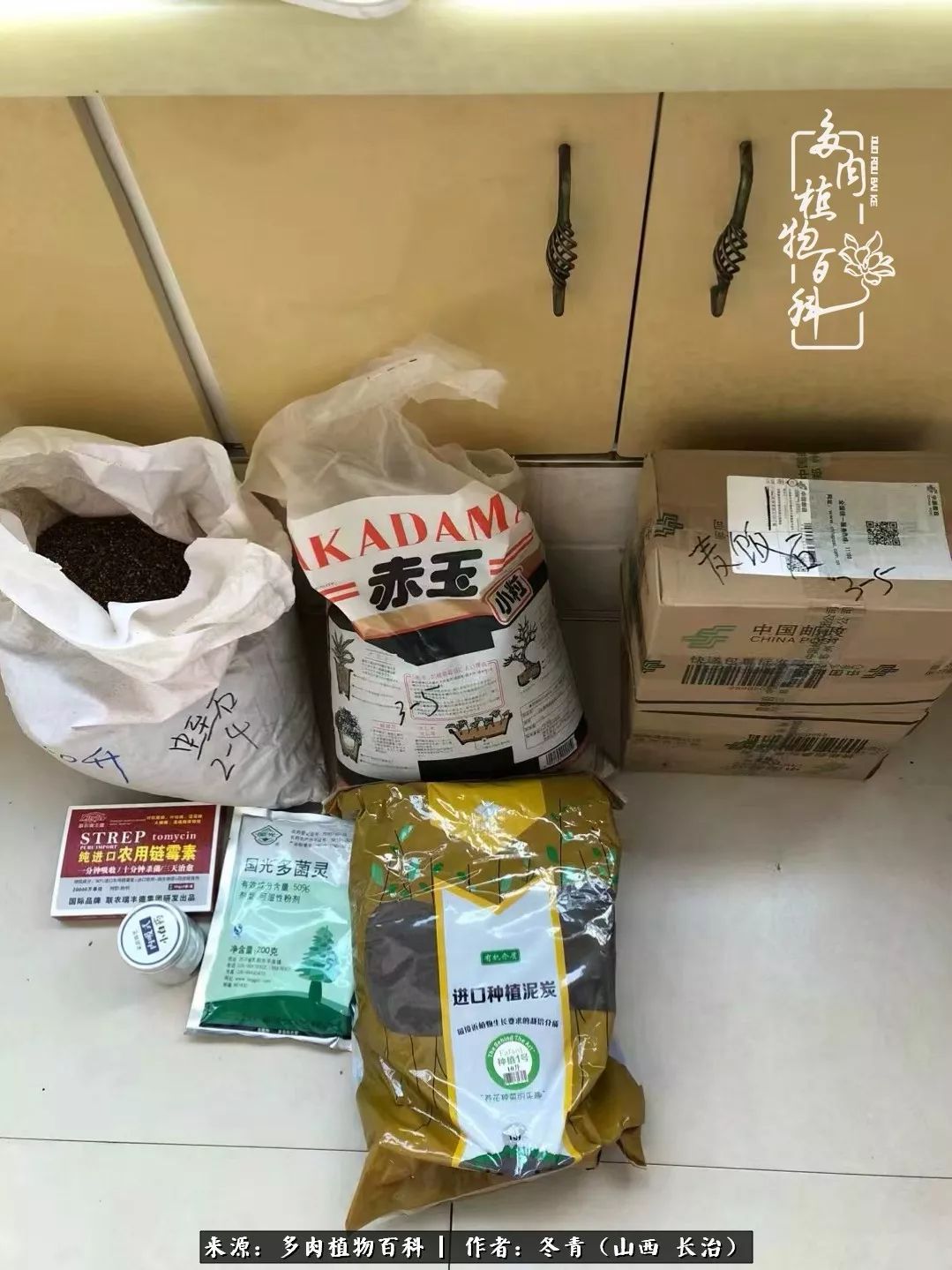 新手养多肉知道这4点打好基础,阳台上养多肉的正确方法