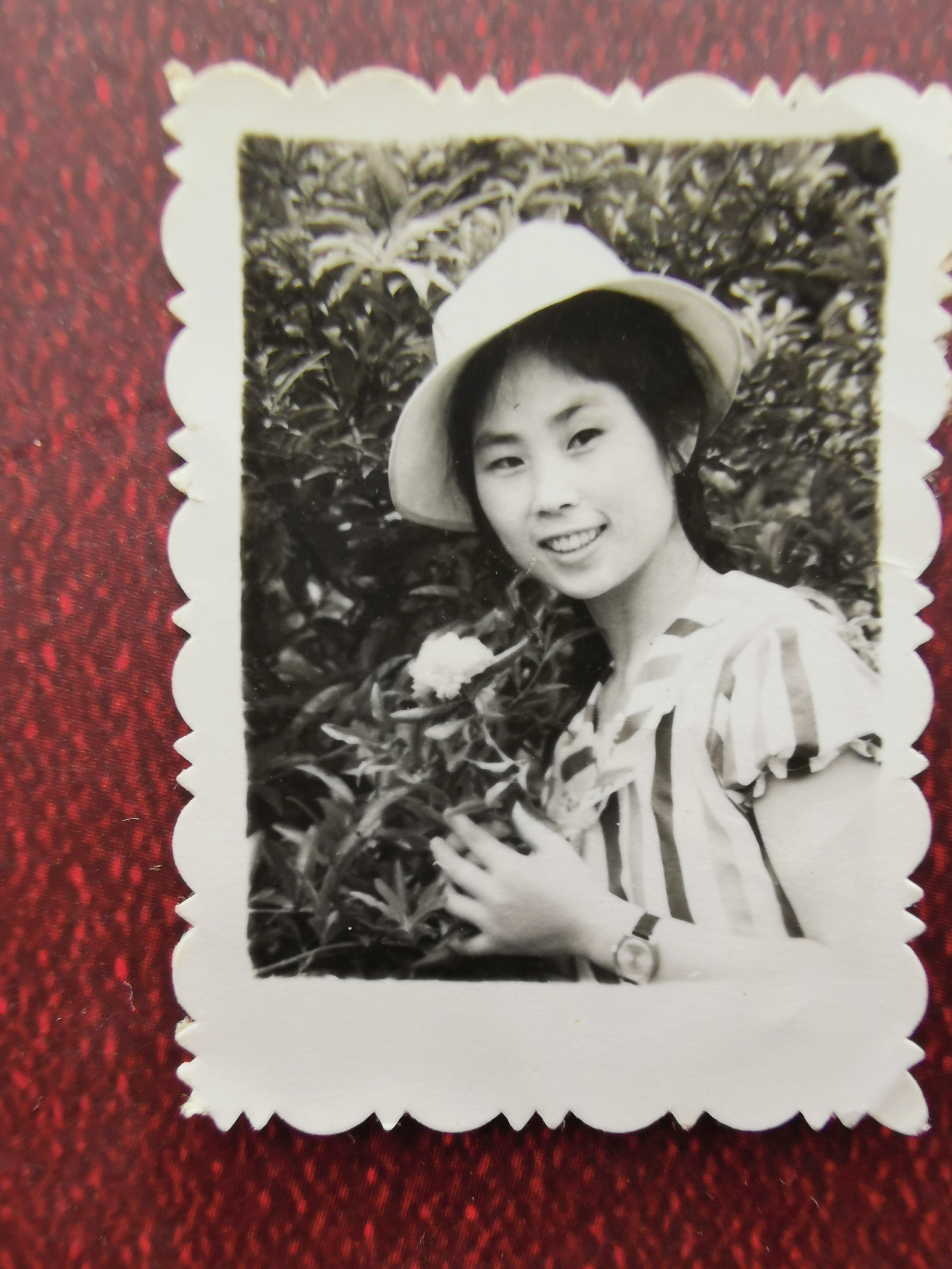 已走过的路无需回头看,已走过的路回不去