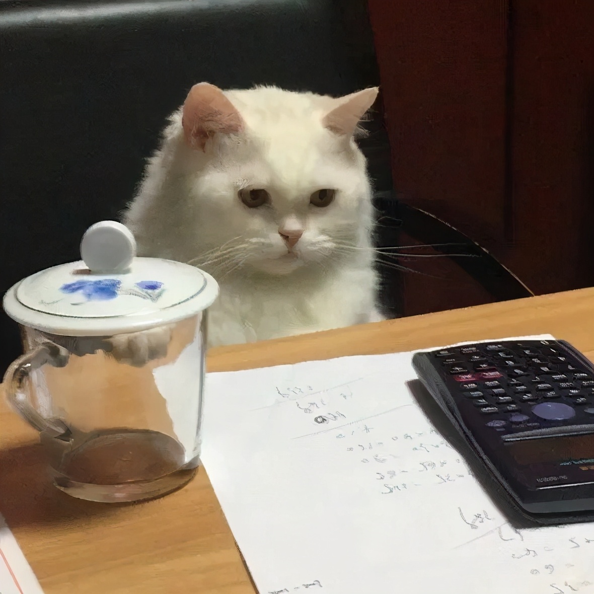 期末周｜学习*党**-换上最符合读书人心态的头像，萌宠辣妹表情包