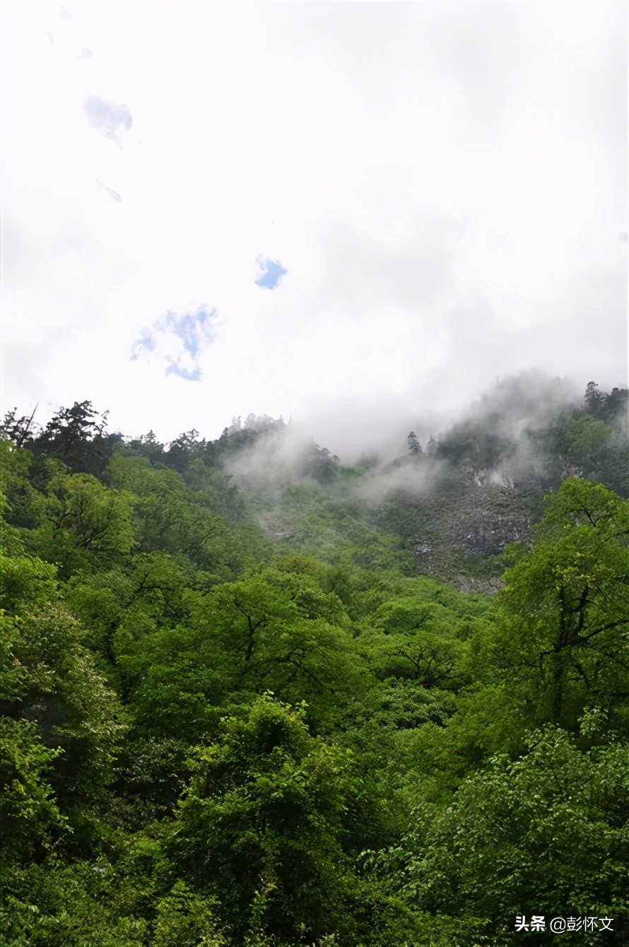 最新财税知识解答大全,财税热点与疑难问题解答