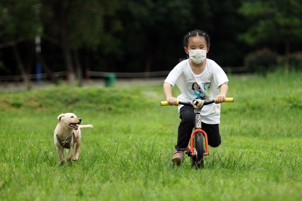 这是什么狗,狗狗横齿什么样