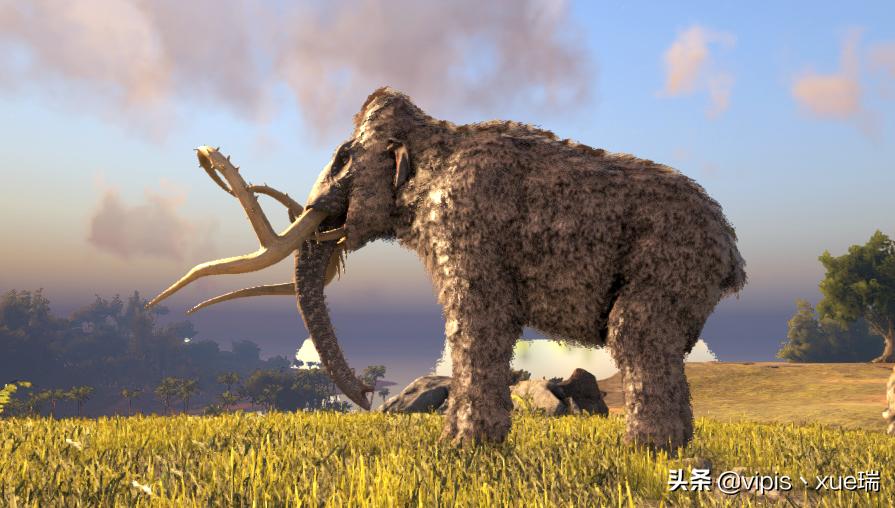 方舟猛犸象吃什么驯服最快,方舟手游猛犸象吃什么食物