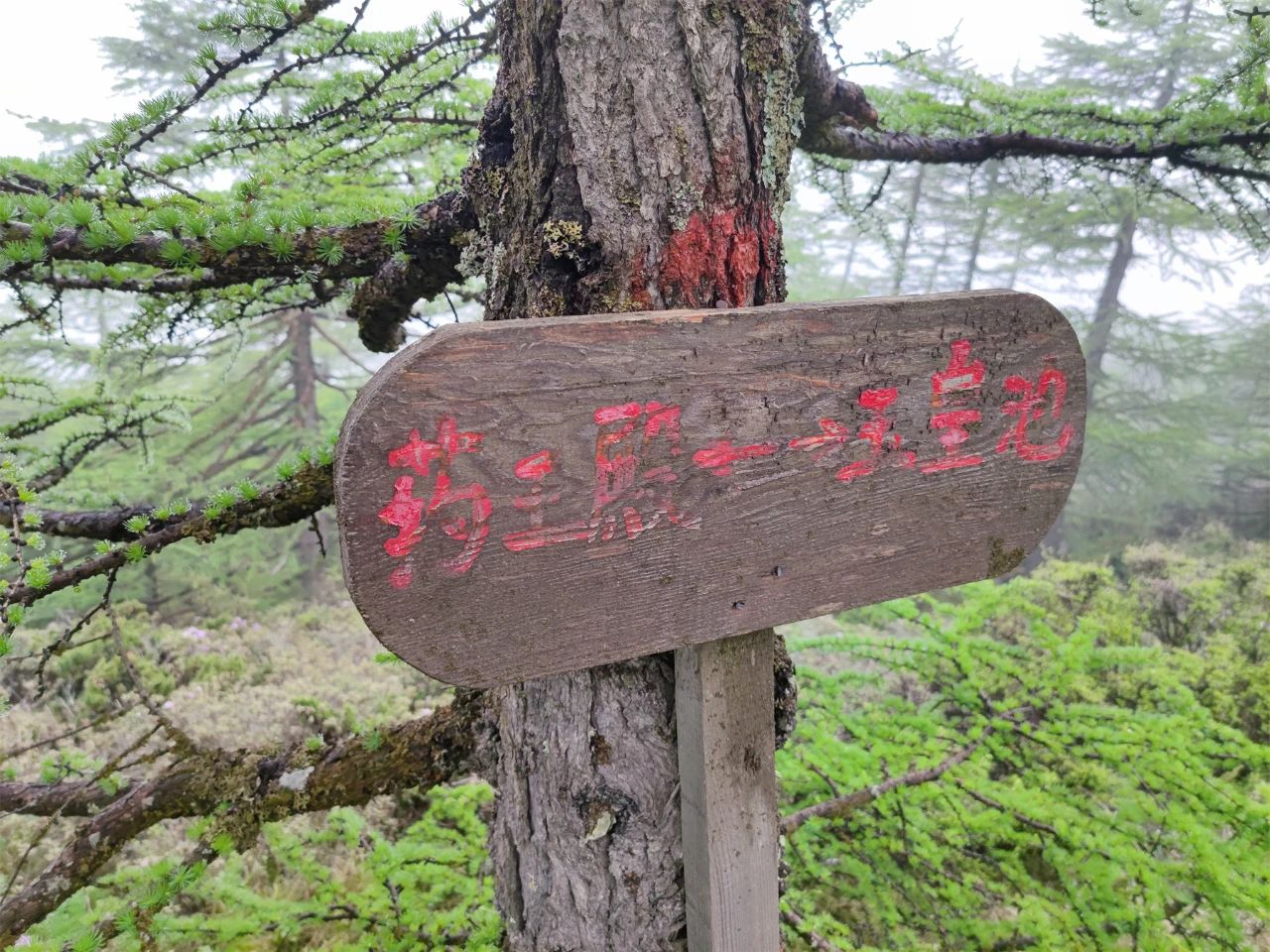 一个人的旅行——九死一生的太白山穿越记（3）