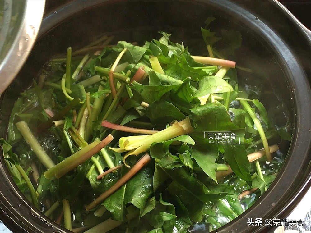 蒲公英野菜什么人不能吃,蒲公英是清热下火的吗