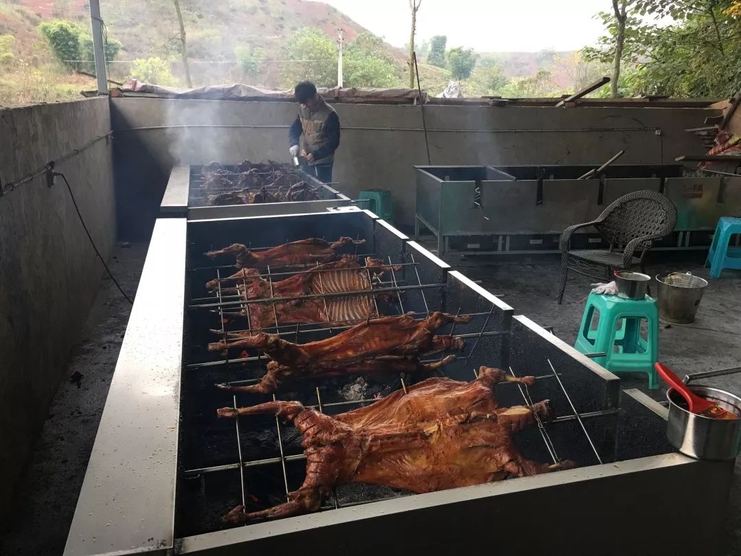 重庆周边适合篝火晚会的农家乐,重庆大学城周边农家乐和休闲农庄