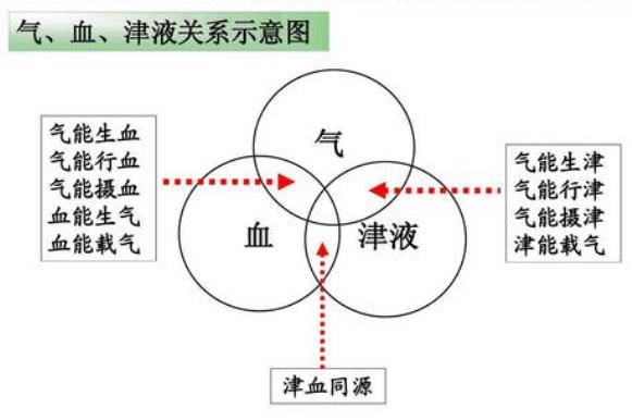 汗与血及津液关系,汗出过多必伤身