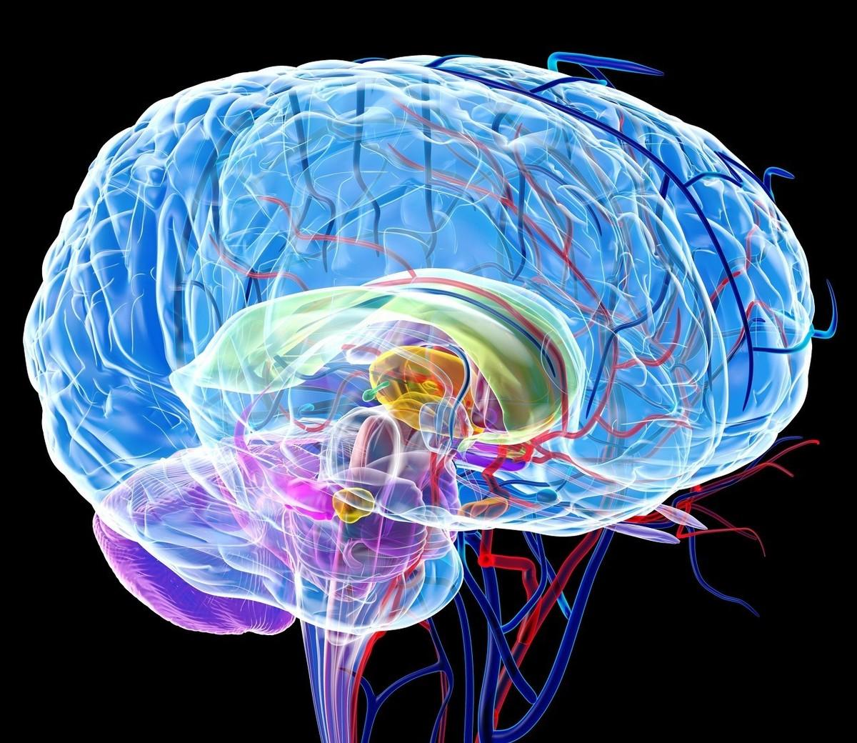 陈旧性脑梗塞可以吃脑心通吗,腔隙性脑梗塞吃什么活血化瘀药