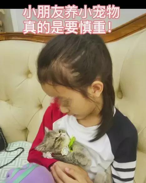 家中有小孩能养小动物吗,家里有宝宝千万别养小动物
