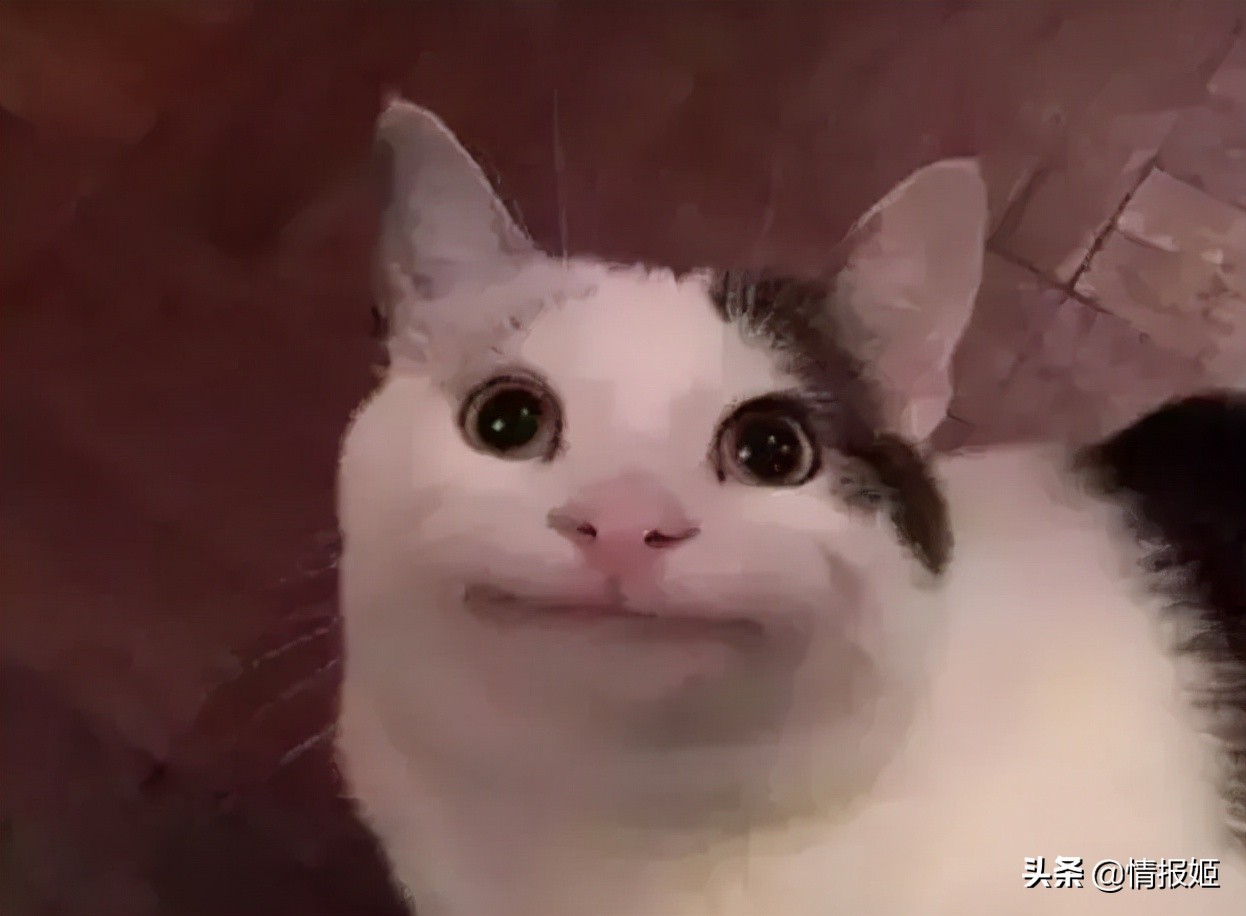 血源诅咒线上游戏,血源诅咒游戏全流程