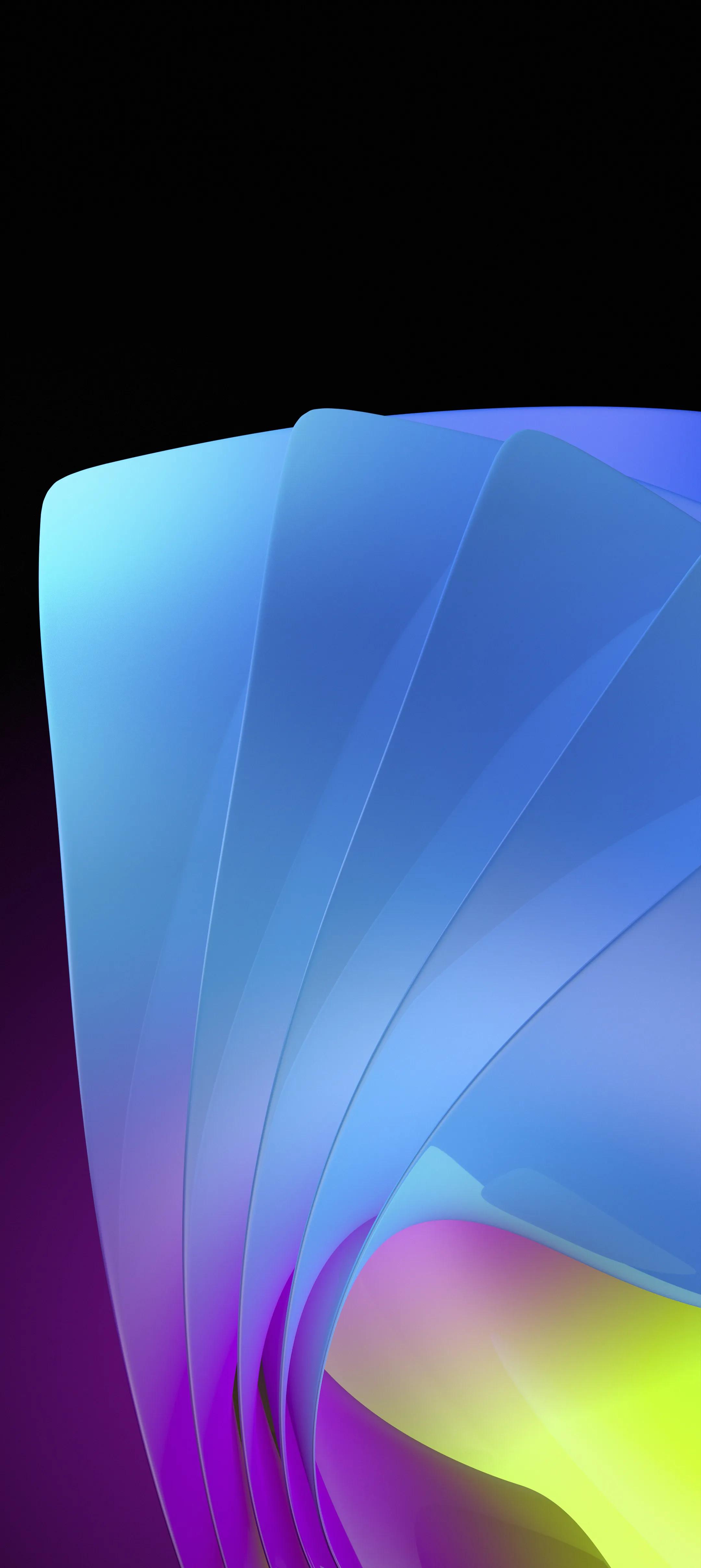 花18元买的壁纸,精美壁纸500欧元