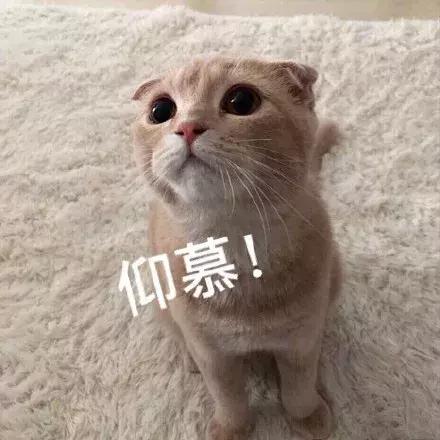 铁皮的妙用,铁皮最好用的东西