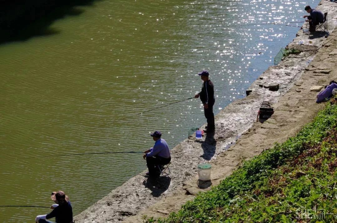 深圳二号线沿线有哪些景点游玩,深圳9号线沿途好玩的地方推荐