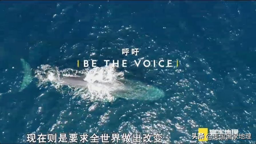 是什么激励着国家地理女探险家们改变世界的？