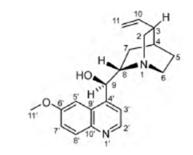 磷酸氯喹治疗新冠肺炎患者剂量,磷酸氯喹治疗新冠肺炎