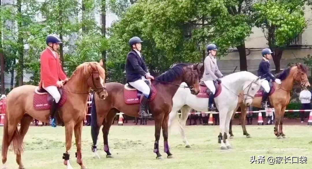 上海高标准小学招生排名榜,上海新政小学