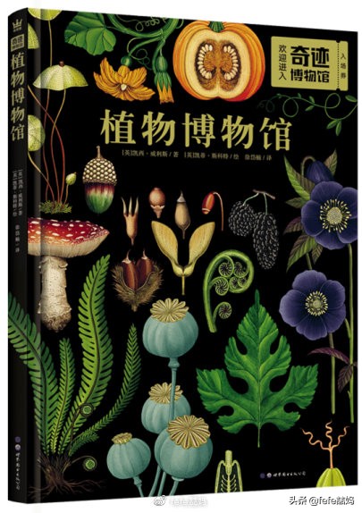 书香圣诞｜雪和冬日温暖、新书分享