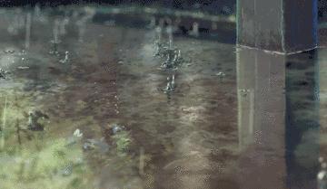 手机稳定器使用方法和技巧图文,新手手机稳定器怎么拍得稳