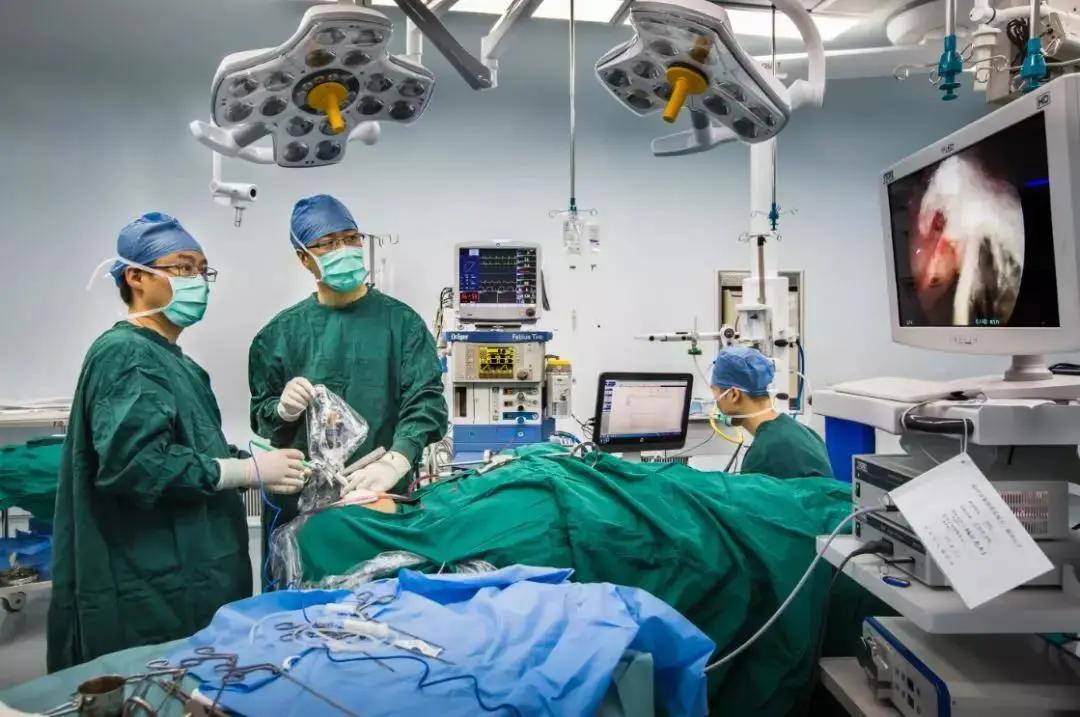 苏州科技城医院科室,苏州大学附属第一医院耳鼻喉专家