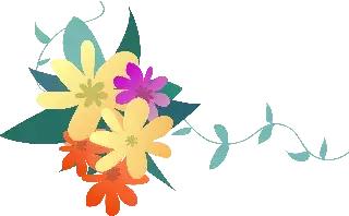 最美的芳华照片,80后最美的芳华