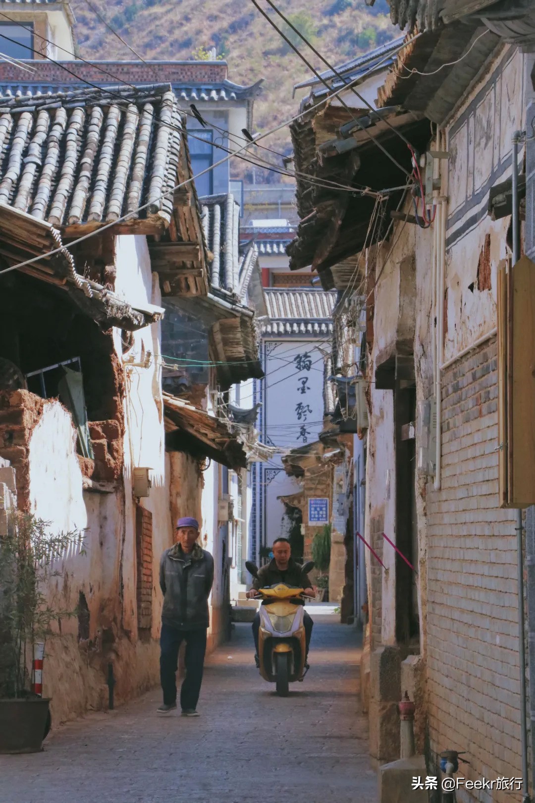 挖到了云南人都点赞的“美食线路”！菌子当道，夏季去度假正好