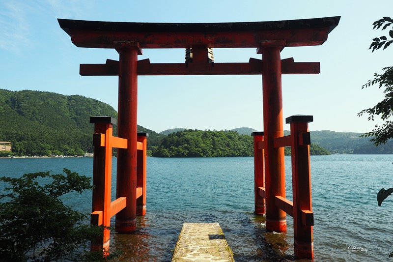 日本东京美食攻略自由行,东京旅游美食自由行路线攻略