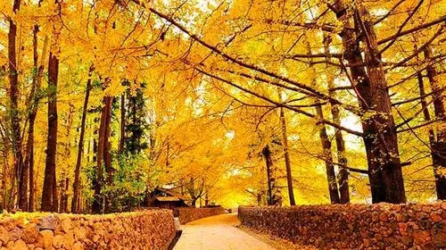 腾冲金玉堂,腾冲和顺古镇金玉堂