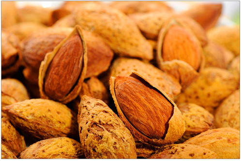 巴旦木是什么果仁,巴旦木是什么做的