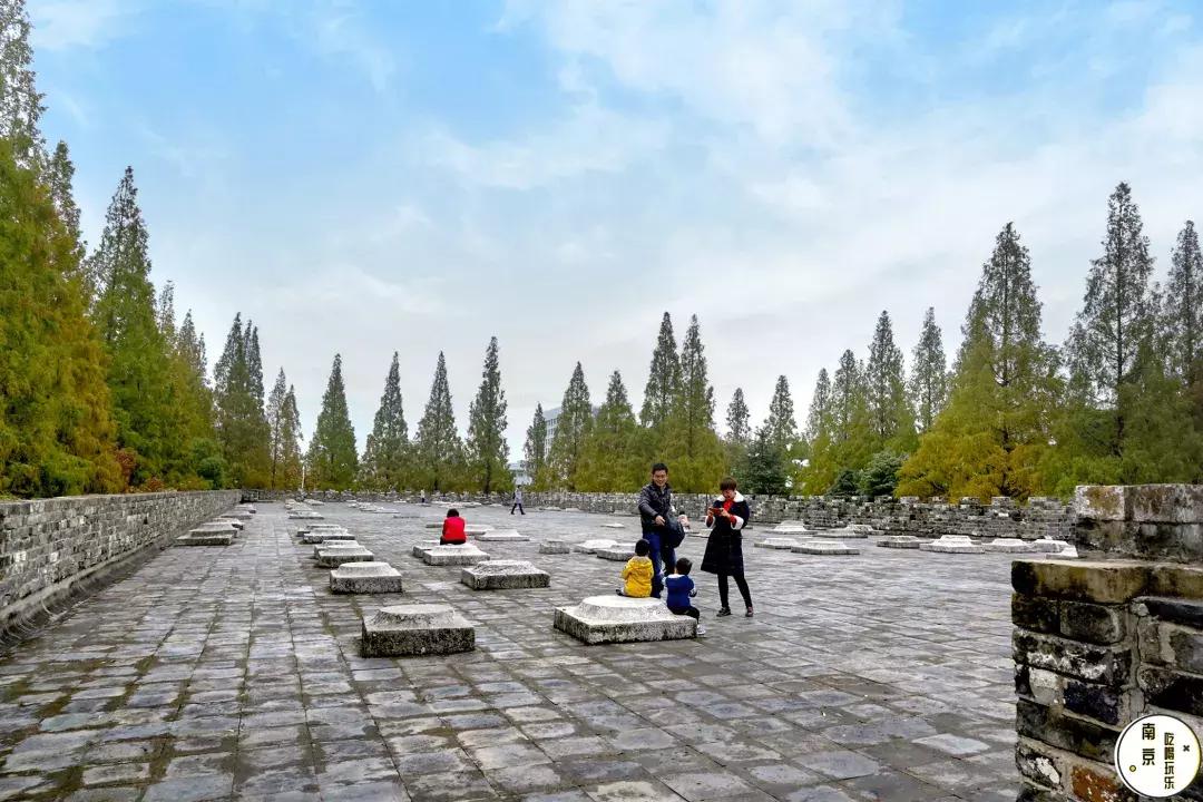 太全了,南京人少景美的免费公园