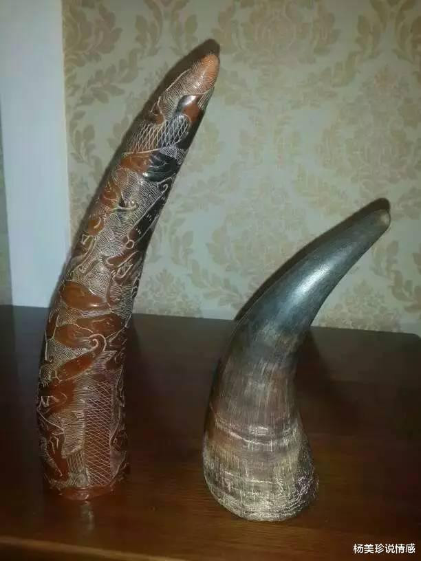 残忍！这9种带血文玩太血腥！碰了谨慎坐牢