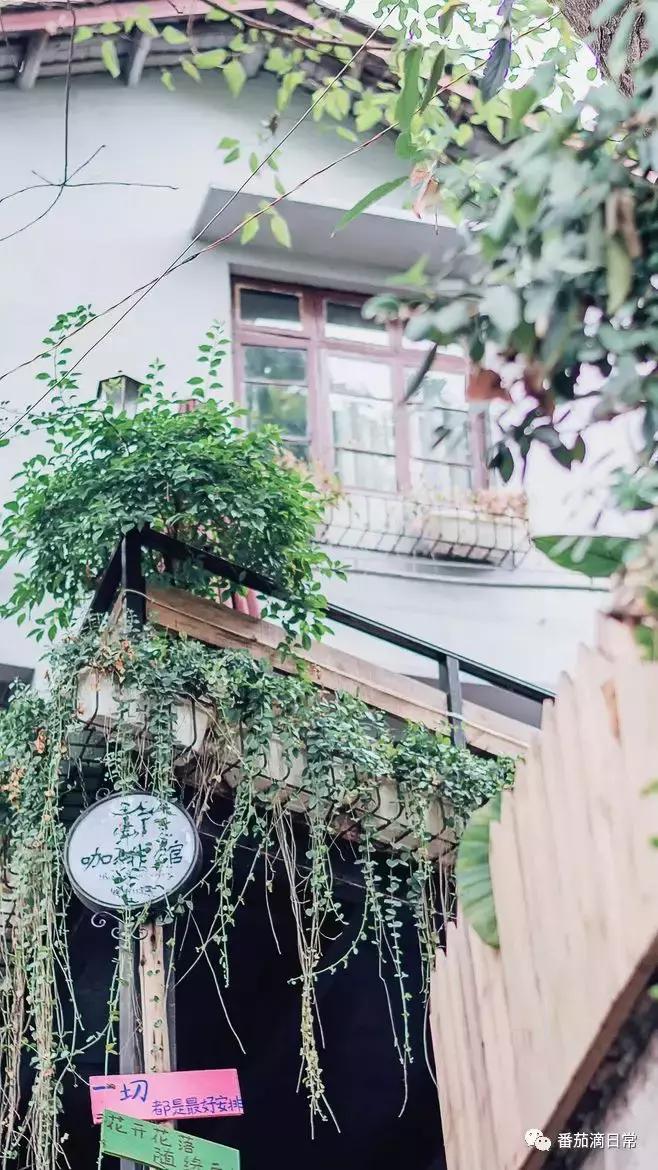 陈羽凡因为吸毒被抓过吗,陈羽凡吸毒被抓给人的警示