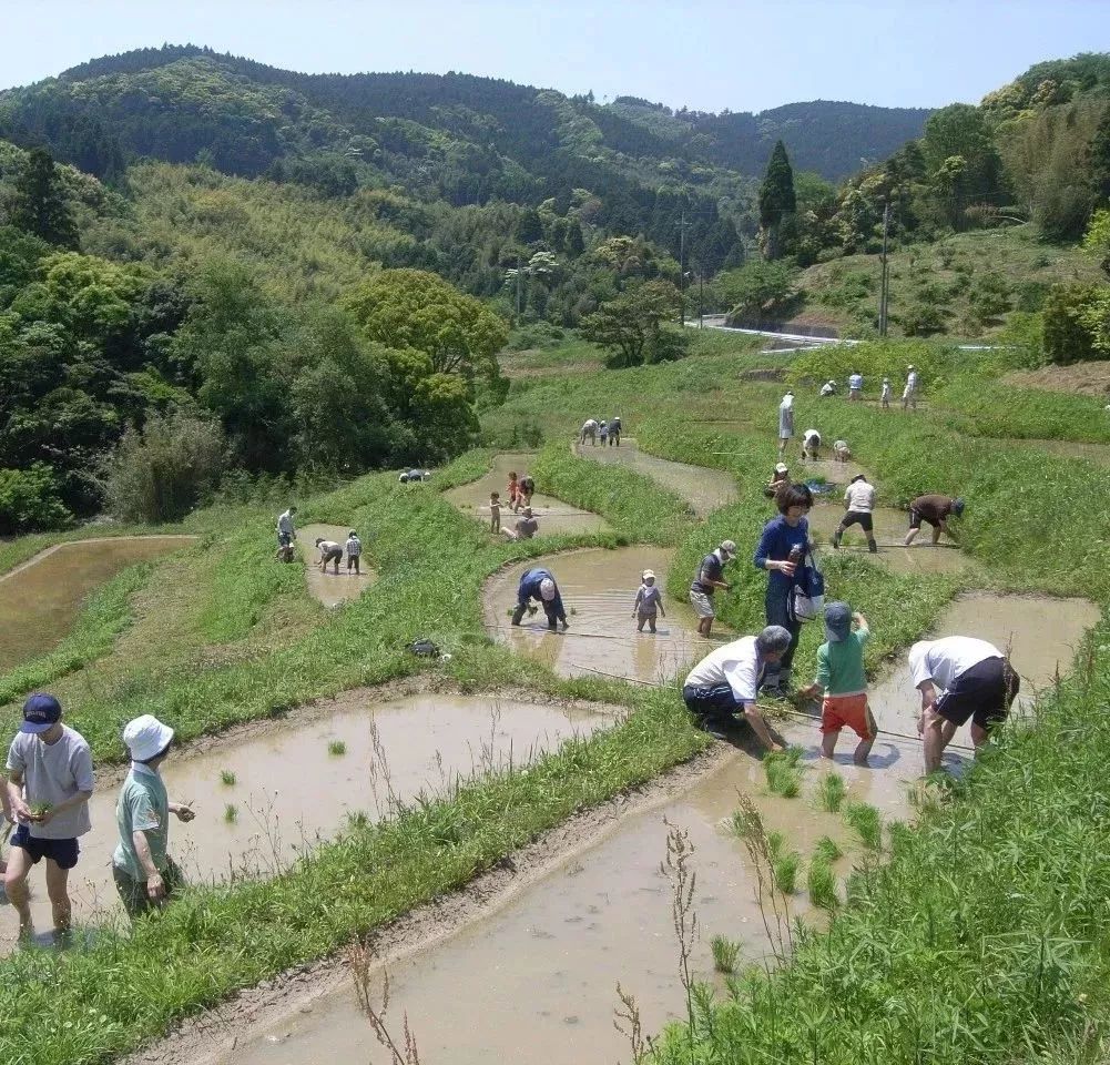 抄底后退市怎么处理,抄底破产案例