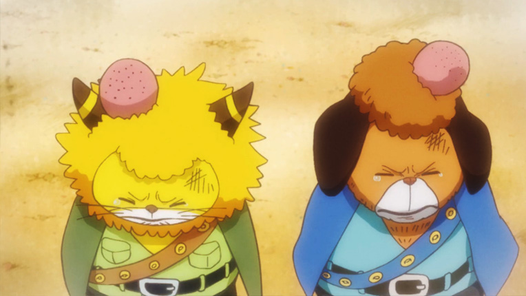 海贼王四位海军大将,海贼王团宠乔巴罗宾