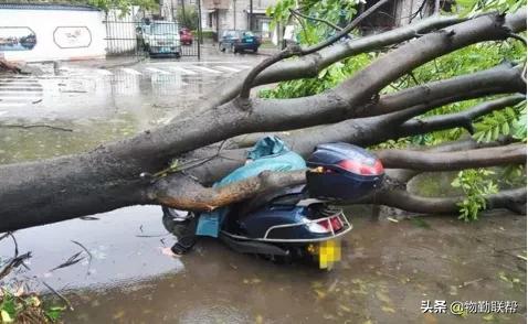 惊心动图+惨痛案例！物业人需提醒业主汛期防灾避险知识多重要？