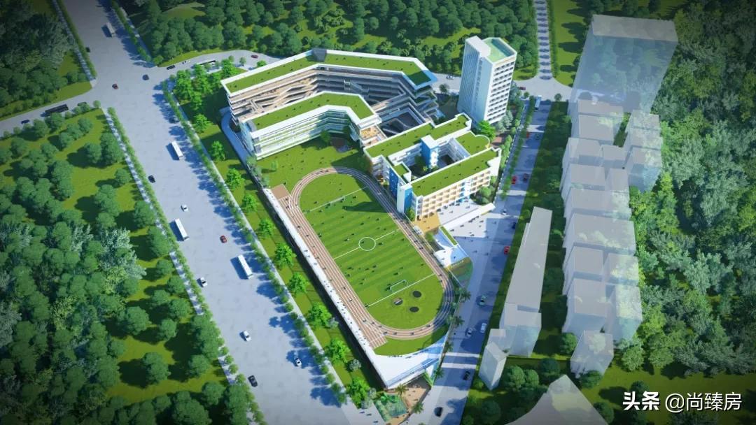 深圳西丽有哪些学校,西丽学校学位