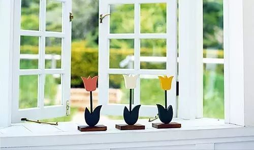 卫生间可能藏有危险致命菌,一个卫生间带来的困扰