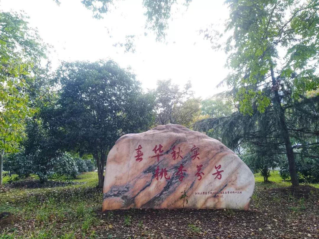 高考江汉大学怎样报名,湖北高考志愿填报江汉大学