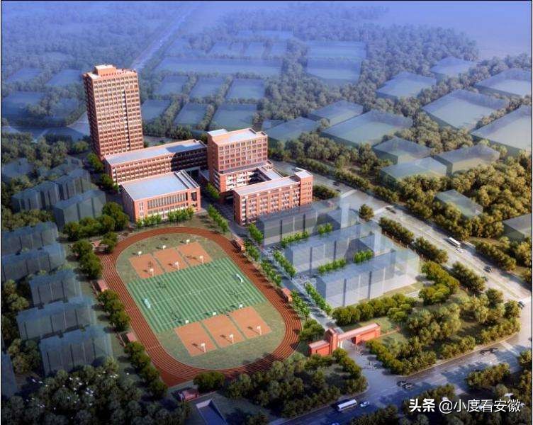 合肥将新增一大型公园,合肥新站区体育公园建在哪里