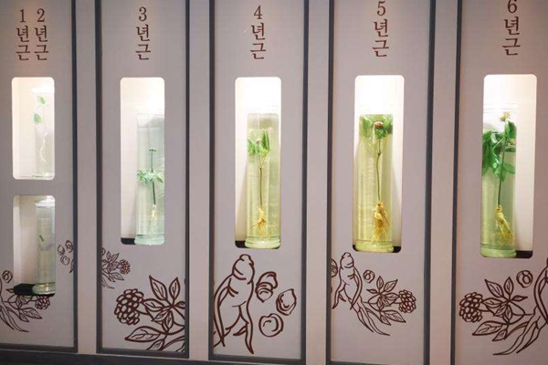 韩国购物单怎么看价格,在韩国购物怎么买到正品