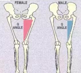 髌骨脱位了怎么办？！康复练习法有哪些（图文解说）