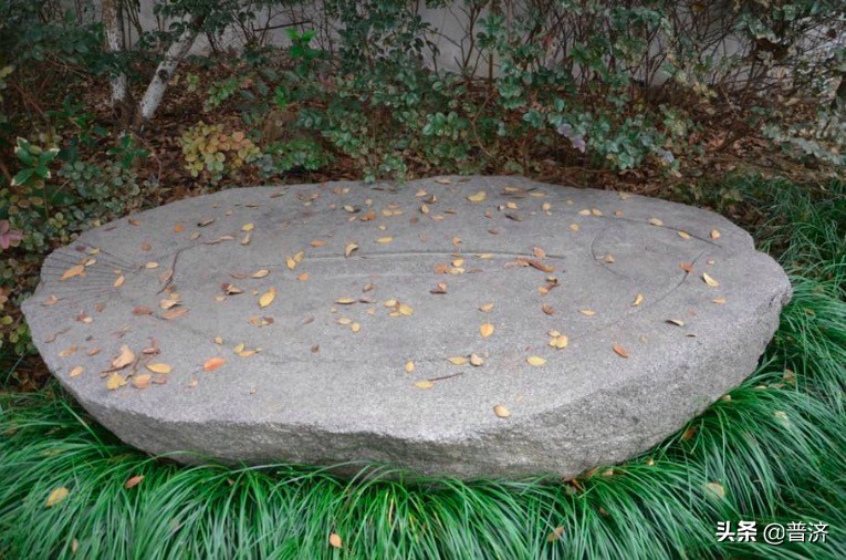 味精为什么总被冤枉,味精为什么被鸡精搞垮了