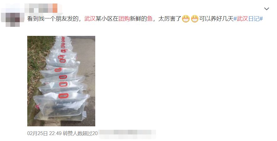 武汉人的生活怎么样,武汉人生活是什么样的