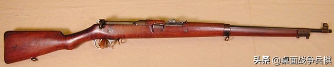 加拿大军队装备的步枪,加拿大军用步枪