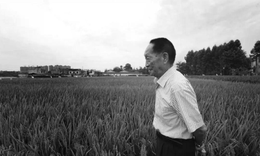 送别袁隆平群众高呼一路走好,袁隆平院士群众送别