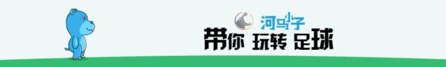 河马意甲最新战术板,河马意甲